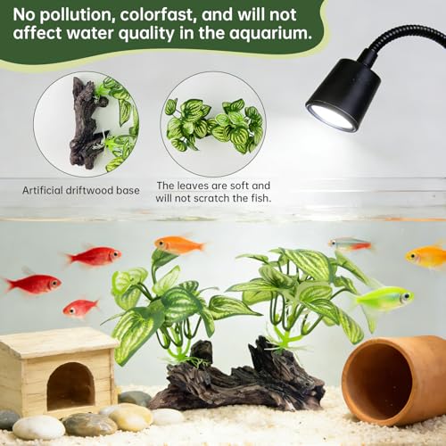 Aquarium Driftwood, Natural Fish Tank Decor for Betta, Reptile Hideout & Terrarium Ornament, Type-D - size: Type-D