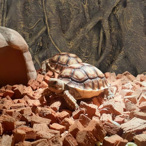 balacoo 3D Foam Rock Reptile Background Aquarium Background Rain Forest Tree Roots Fish Tank Decorations (Brown)