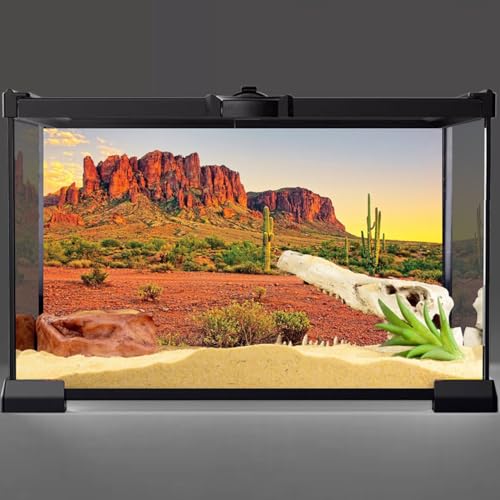 AWERT 36x24 inches Reptile Habitat Background Sky Oasis Mountain Cactus Sun and Desert Terrarium Background Durable Polyester Background - size: 36x24in/90x60cm