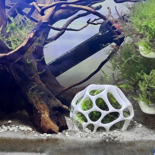 Moss Dome for Aquariums – Natural Shrimp Hide & Breeding Shelter, Aquascaping Accessory for Neocaridina & Caridina Shrimp, Shrimp Tank Decor & Safe Retreat for Small Fish