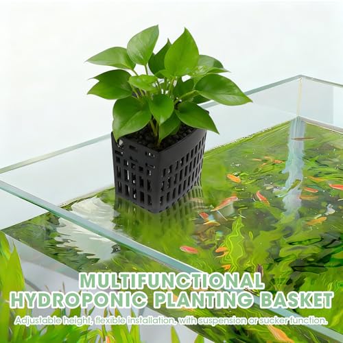 2 Pcs Upgraded Aquarium Plant Holder, Adjustable Hooks and Suction Cups Fish Tank Plant Holder, Fish Tank Aquaponic Cultivation and Aquascape Decorations