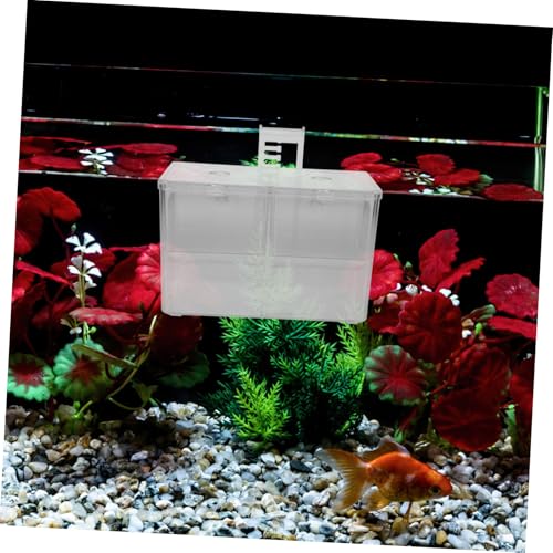 GALPADA Fish Tank Incubator Box Transparent Hatching Divider for Betta and Tropical Fish Portable Nursery Breeding Box Easy Installation and Safe Design