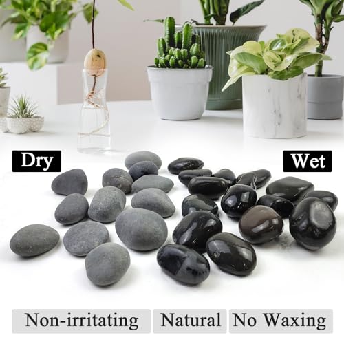 Black River Rocks for Landscaping, 2-3 Inch Natural River Rocks for Garden Beds, Potted Plants, Fish Tanks, DIY Pathway and Backyard Accent, Stones for Crafts, Walkways,(20lbs Bulk) - color: Natural Black, size: 2-3 Inch(20LB)