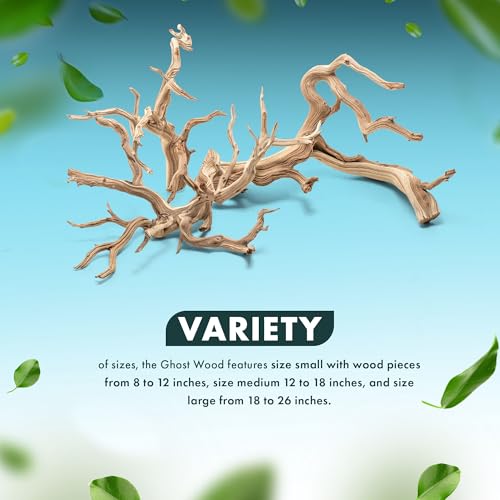 SubstrateSource Natural Aquarium Driftwood for Fish Tanks, Terrarium, Reptile Habitats, Freshwater Aquatic Decor - Small to Large Pieces (Ghost Wood (Large) 18-26", 1 Piece) - size: 1 Piece