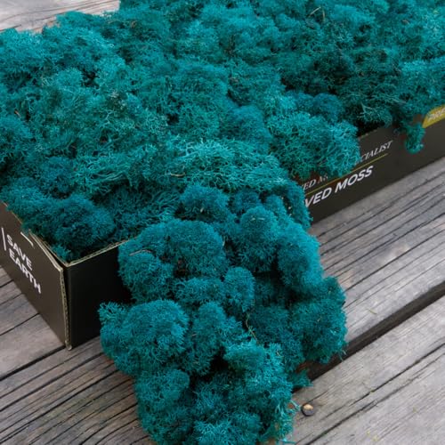 Preserved Reindeer Moss Natural Green DIY Kit Gardenning Art Wall Decor Florist Decor Easter Table Decor Wedding - color: Green-16, size: 0.85 lb