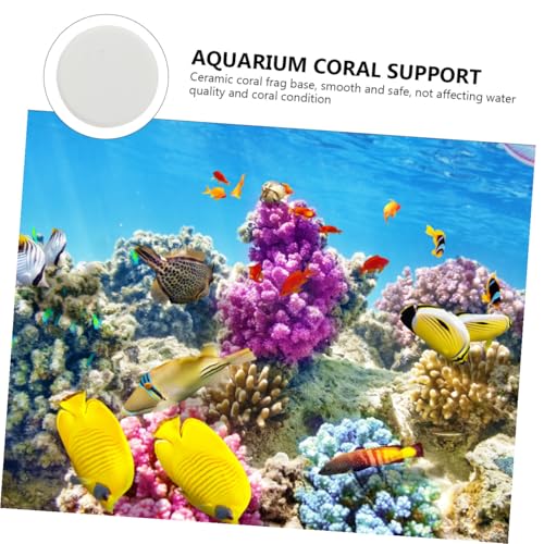 10pcs Fish Tank Coral Base Terrarium Cave Sand Stand Coral Breeding Bases Gasket Large Fish Tank Ornaments Gel Pad Coralline Serving Tray Round Conch Siphon Ceramics