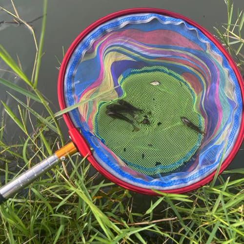 Fishing Net 2 Pack Retractable Lightweight Landing Net with Aluminum Rod Handle Fishing Nets for Youth Catch and Release Butterfly Nets - style: Black+red