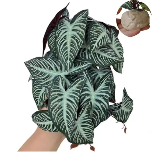 Reptile Plants,Terrarium Decor,Amphibian Habitat Decor,Artificial Plants for Gecko Chameleon Snake Tortoise Tank Accessories with Base(Xanthosoma sagittifolium) - color: Xanthosoma Sagittifolium