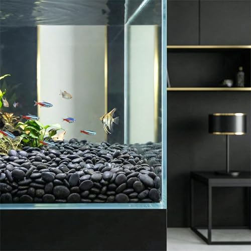 River Rocks Decorative Ornamental Vase Filler 0.5" - 0.75" Black Aquarium Gravel 5 lbs - Landscaping Pebbles for Indoor Plants, Succulents, Terrarium & Home Decor, DIY & Crafting – Royal Imports - size: Small - 5 lbs, style: Black