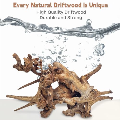 PINVNBY Large Driftwood for Aquarium Fish Tank Decorations Natural Assorted Branches Bearded Dragon Tank Accessories Terrarium Decor for Aquarium Decor (11-18 inches/1 Pack) - size: XL:Mopani Driftwood (11 - 18 inches/1 Pack)
