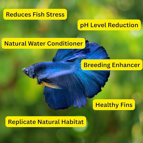 80 Pcs Dried Catappa Indian Almond Ketapang Leaves, Betta Fin Rot Treatment, 4” Betta Fish Tank Accessories, Leaf Litter for Goldfish, Guppy,Frogs,Tetras - Supports Breeding