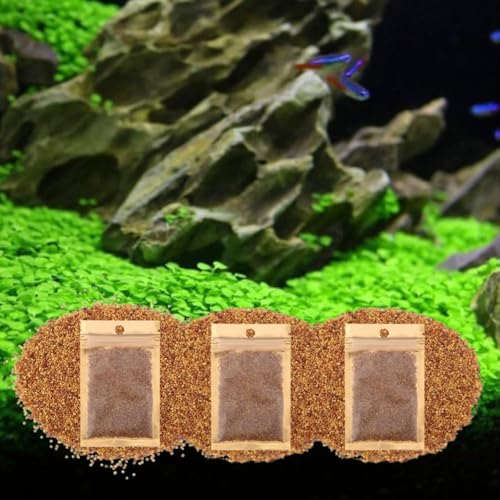 3 Pack Freshwater Aquarium Decor, Easy Growing Dwarf Carpet for Fish Tank/Terrarium, Natural Aquatic Plant Growth Material (Love Grass) - color: Love Grass