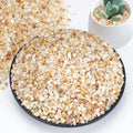 1-2mm Coarse Sand for Plants, 20lbs Horticultural Sand for Succulents, Desert Silica Sand for Cactus, Vases, Aquariums, Terrarium, Fish Tank, Drainage Rocks for Potted Plants, Bamboo, Crafts