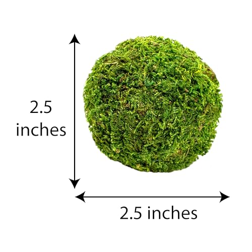 SuperMoss (25441) Moss Balls – Preserved Decorative Moss Balls for Home Décor, Vase Fillers, Centerpieces, Terrarium & Wedding Décor, Natural Green Moss Décor Balls, 2.5", Fresh Green - color: Fresh Green, size: 2.5"