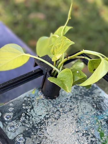 The Tube 3D Printed Aquarium Plant Holder - Pothos & Stemmed Plants - Aquascaping & Fish Tank Tool Holder for 10-200 Gallon Rimmed Tanks