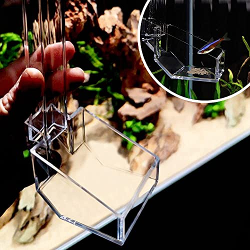 Shrimp Fish Feeding Dish, Aquarium -Sky Restaurant- Betta Feeding - Prevent Food Spilling, Fish Feeder, Also Easy to Clean Up The Food Left Over, African Feeding, Dwarf Frogs Feeding (L)