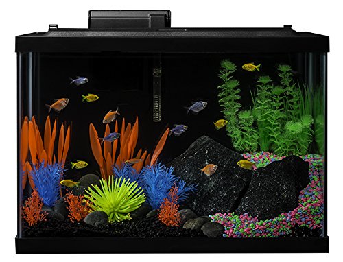 GloFish 20 Gallon Aquarium Kit with LED Lights, Decor Heater and Filter - size: 20-gallon kit