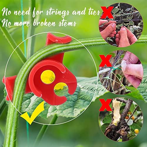 LucyPhy 30 Pack Plant Bender Angle Adjustable Plant Training Clips Low Stress Training Clips 90 Degrees Plant Stem(Circle Style,Red) - color: Red, size: 30Pack