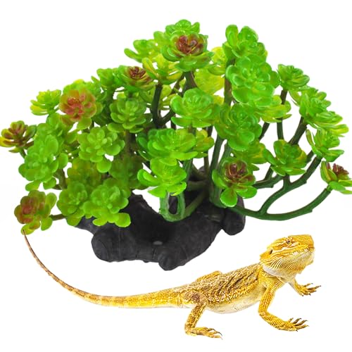 kathson Reptile Plant Succulent,Artificial Plants Aquarium &Terrarium Accessories for Bearded Dragon Crested Leopard Gecko Lizard Chameleon Tortoise Betta Fish Hermit Crab - color: 【succulent】, size: 【1PCS】