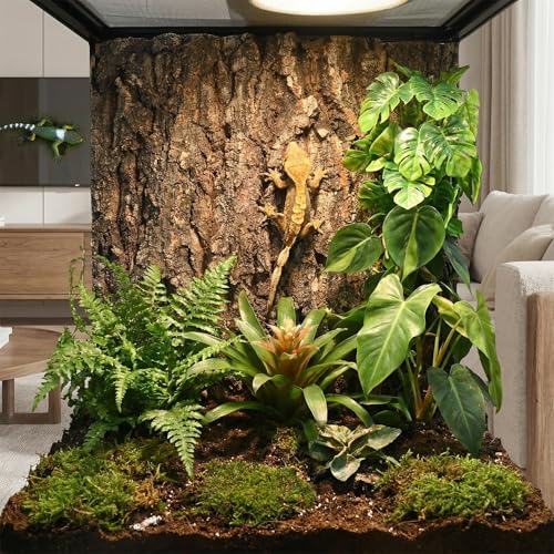 TOYANDONA 2pcs Natural Cork Bark Terrarium Background - 11. 8x7. 9in Reptile Climbing Mat Hideout, Habitat Decor for Bearded Dragon Lizard Gecko Spider Turtle Tank Supplies