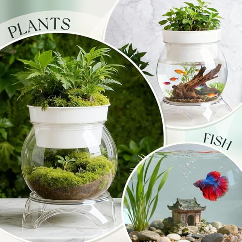 Geelin 1 Gallon Plastic Aquaponic Betta Fish Tank Aquaponic with Base and Top, Large Bowl Shatterproof Ecosystem Aquarium with Clear Clarity for Terrarium, Flower Vase Betta Fish Centerpiece Gifts - size: 1 Gallon
