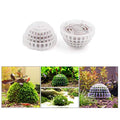 Yohii Dahszhi 2Pcs Plastic Aquarium Shrimp Fish Tank Moss Ball Holder Plant Shaping Filter(G6.71)