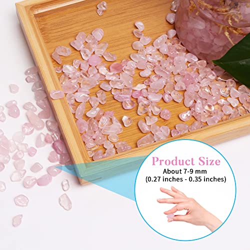 QICQDRAM Dyeing Rose Quartz Crystal Chips Bulk 0.9 Lb/405g Crystal Tumbled Stone Decorative Pebbles for Home Decoration & Fish Turtle Tank, Vase Filler, Plants Decor - color: Rose Quartz