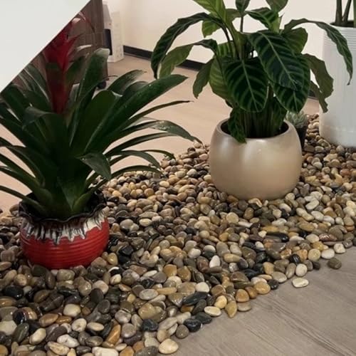 40LB Mixed Color River Rocks - 2-3 inch High Polished Decorative Pebbles, Polished Stones for Landscaping, Natural River Rocks for Outdoor Décor, Plants,Vase Filler,Fish Tank - size: 40LB, style: Mixed Color