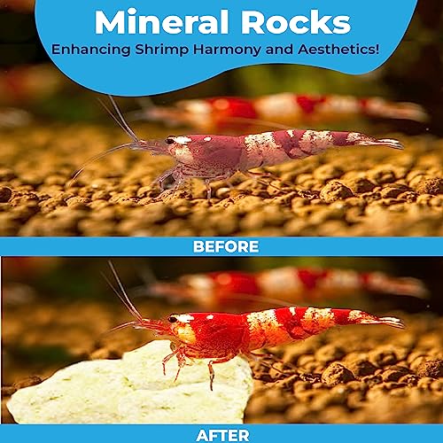 JOR Water Conditioner Calcium Rocks for Baby Shrimps, Isopods, and Crayfish, Enhances Pet Color, Provides Hideout, Breeding Spot, Beneficial for Shedding, Rustic Decor for Big and Nano Tanks, 3.5 oz.