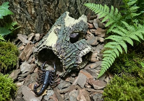 Beard Dragon,Lizard and Reptile Hide,Fish Tank Accessories Hides,Aquarium Decor for Betta Fish,Shrimp,Hermit Crabs,Spiders,Mice,Leopard Geckos,Toads and Frogs (Brown, m)