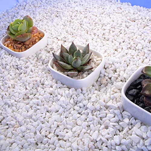 7lb White Cactus Pea Gravel Rocks,1/4 Inch Pebbles for Indoor Plants, Natural Succulent Rock and River Rocks Decorative for Aquariums, Vases, Outdoor Gardening, Top Dressing for Potted Plants - color: White Onyx, size: 7LB