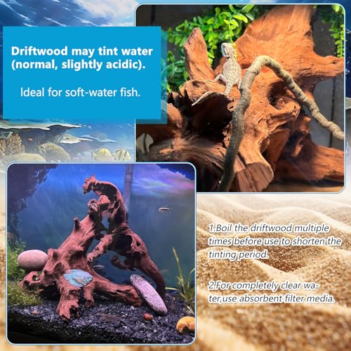 2 Pcs Natural Large Driftwood for Aquarium, Aquarium Driftwood Freshwater 12-16 Inch, Assorted Size Mopani Wood, Twisted Branches for Fishtank Accessories, Reptile Terrariums Decorations - color: 2 Pack Mopani Driftwood 12-16in