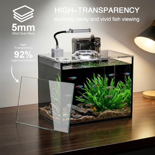 2 Gallon Betta Fish Tank, Small Aquarium Kit,Glass Small Fish Tank,Betta Fish Tank with a lid and Light and Filter, Small Transparent Glass Fish Tank with Light and Filter (Black Glass Background) - size: 2 Gallon