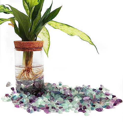 QICQDRAM Polished Fluorite Gravel Rocks Bulk 0.9 Lb/405g Natural Tumbled Crystal Chips Decorative Pebbles for Home Decoration & Fish Turtle Tank, Vase Filler, Plants Decor - color: Fluorite