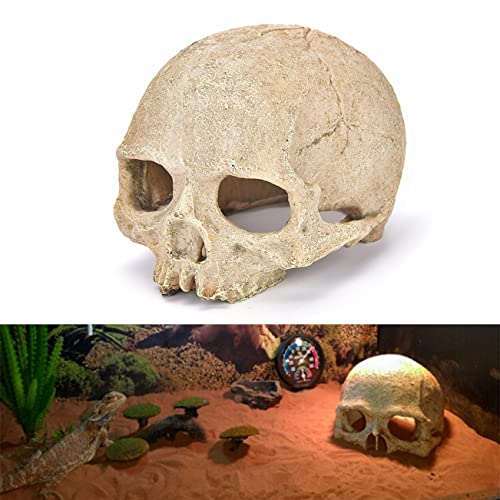 AWXZOM Desert Reptile Skull Fish Tank Decorations - Bearded Dragon Accessories, Snake Tank Decor (Human + Dinosaur)