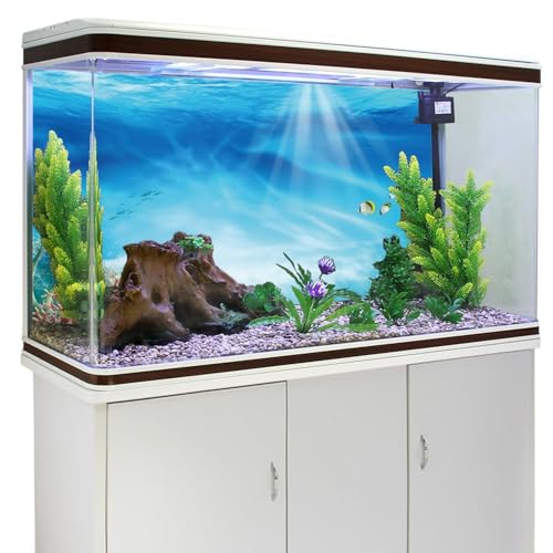 AWERT Undersea Theme Aquarium Background Colorful Coral Tropical Fish Sunshine Underwater World Fish Tank Background 24x12 inches Vinyl - size: 24x12in/60x30cm