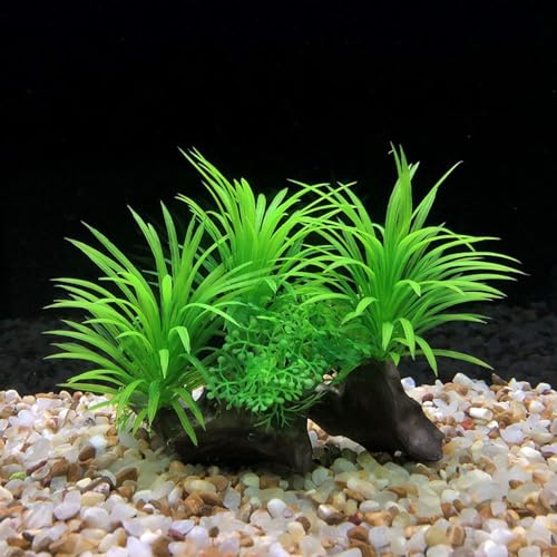 Kathson 4 PCS Aquarium Driftwood Decoration - Natural Branches for Fish Tank, Reptile Terrarium Habitat - Assorted Sizes Wood Accessories - size: 4pcs: 4.2-8.5inch