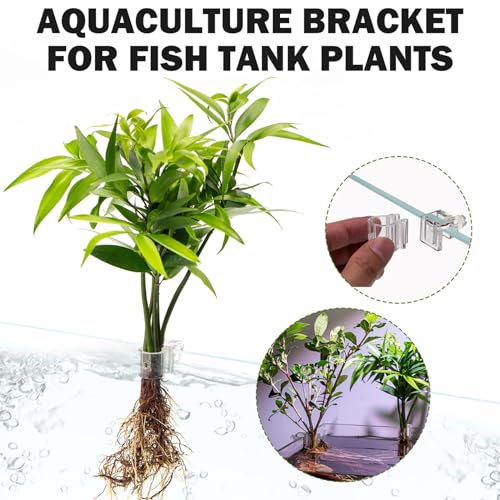 6PCS Transparent Fish Tank Plant Holder with U-Shaped Clip, Aquarium Plant Holder for Hydroponic Plants, Aquascaping Accessories M