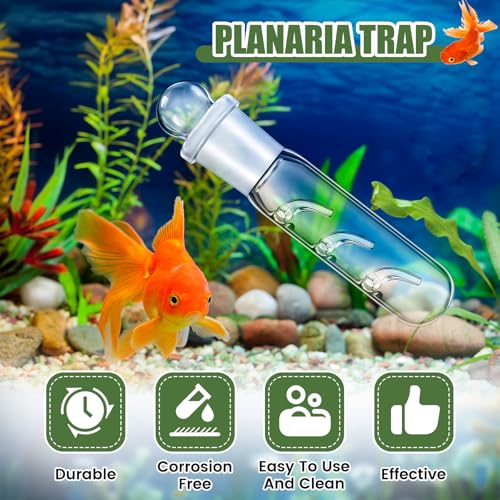 Qualirey 4 Pack Planaria Catch Trap for Aquarium Snail Leech Clear Glass Planaria Trap for Dwarf Shrimp Red Cherry Shrimp Tank(3 Holes) - style: 3 Holes
