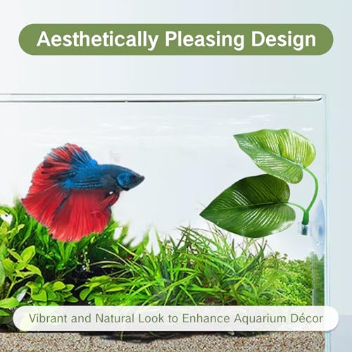 Betta Fish Toys Interactive Betta Ring and Leaf Hammocks Small Tank Accessories Feeding Spot and Resting Bed Breeding Ground Black Circle Fish Feeder with Suction Cups for Aquariums