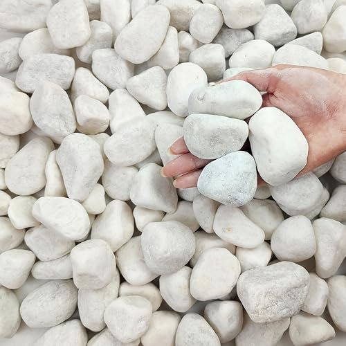 FANTIAN 5 lbs White Matte Rocks for Plants, 2-3 Inch Large Pebbles for Indoor Plants, Decorative River Stones for Succulent, Landscaping, Vases, Crafting and Garden - color: White, size: 5 lbs, 2-3 Inch