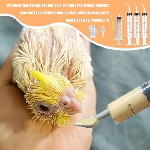 Baby Bird Feeding Syringe Set, Pet Parrot Milk Feeding Syringe with Tubes, Parrot Feeding Tubes Measuring Tools for Feeding Pets Scientific Industrial Labs… (12ml +20ml syringe+50ml Measuring Cup) - color: 12ml +20ml syringe+50ml Measuring Cup