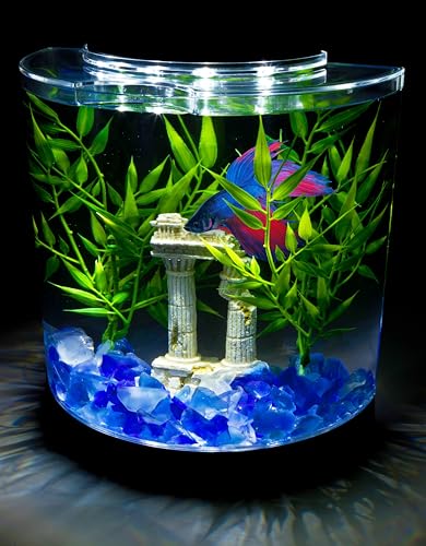 Tetra LED Half Moon Aquarium Kit, 1.1 Gallons, Small, Clear Plastic Fish Tank With Curved Front, Easy Feeding And Movable, Energy-Efficient LEDs Ideal For Bettas Great As Desk Aquarium