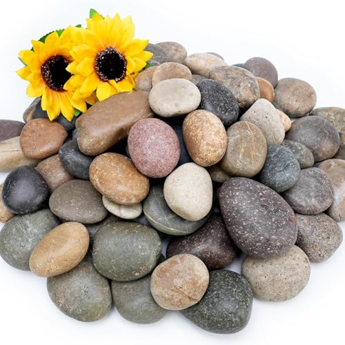 NUPICK 12lb Mexican Beach Pebbles, 2-3" Large River Rocks for Landscaping, Smooth Garden Rocks for Outdoor Paving, Natural Pebbles for Indoor Plants, Decorative Stones for Planters, Fish Tank,Fountain - color: Mixed, size: 2-3", 12lb