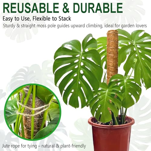 Soupiar 4 Pack 22 Inch Stackable Moss Pole - Thick & Sturdy Natural Coir Totem Plant Support & Garden Stakes for Monstera & Pothos, Indoor Climbing Vining Houseplants, 70" H Max - color: 4*22 inch