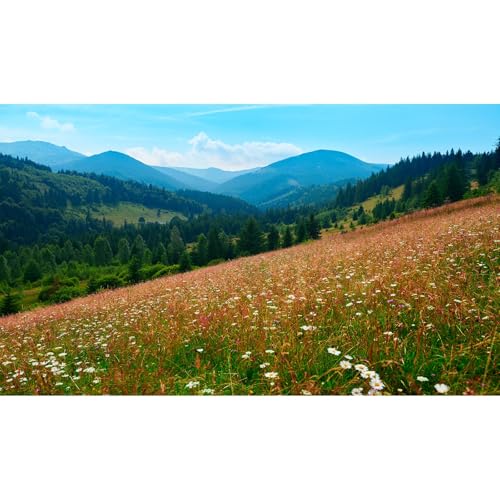 Mountain Spruces Aquarium Background Cloudy Blue Sky Wildflowers Meadow Fish Tank Background Fantastic Wild Nature Landscape Terrarium Backgrounds Carpathian Mountains Reptile Tank Backgrounds 24x12in - color: Orange_Green, size: 24(W)x12(H)inches/ 60(W)*