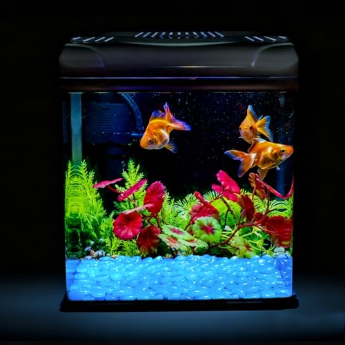 Oubest Fish Tank Rocks Glow in The Dark Pebbles for Garden Aquarium Plant PotsBonsai Walkway Driveway 100pcs Blue - color: Blue