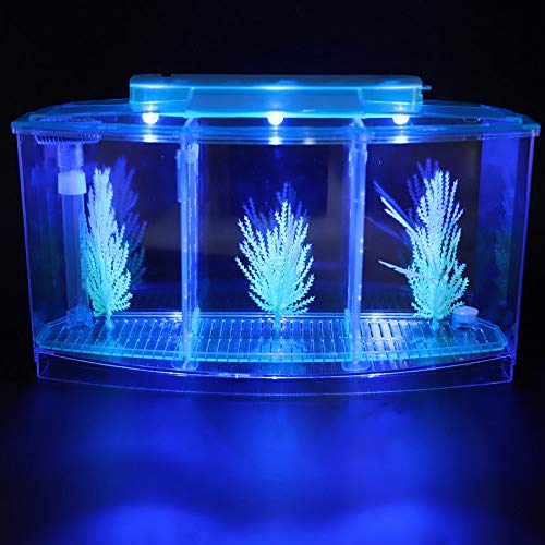 Small Fish Tank With Filter, Aquarium Fish LED Acrylic Three Divisions Breeding Isolation Box for Small Fishes Aquarium Fish (Blue) - color: Blue