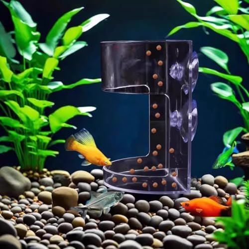 Fish Tank Feeding Tray Set with Suction Cups - Tube Supplies, Tank Divider, Breeder Box for Round Aquariums & Fish Bowls - Essential Aquarium Accessories