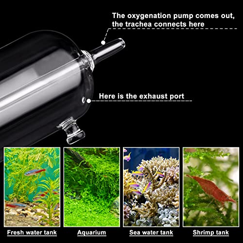 Aquarium Air Bubbler Glass Cup Air Diffuser Dissolved Oxygen Device with Water Tube, Sucker Air Stone, High Dissolved Oxygen for Fish Tank